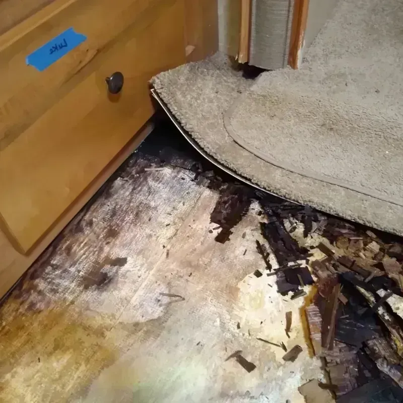 Best Wood Floor Water Damage Service in Larose, LA